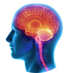 کلینیک دکتر عادل باقرپور